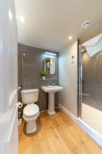 a bathroom with a toilet and a sink and a shower at The Ironmongers Boutique accommodation in Aylsham