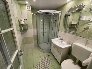 un bagno con doccia, WC e lavandino di Lovely 3 bedrooms Apartament a Oradea