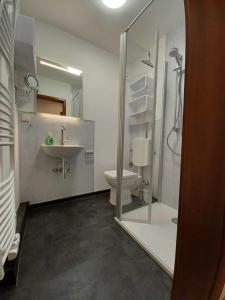 La salle de bains est pourvue d'une douche, de toilettes et d'un lavabo. dans l'établissement Wanderglück, à Braunlage