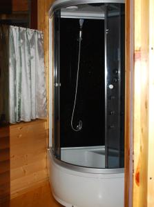 a shower with a glass door in a bathroom at Вілла Олекси in Skhidnitsa +74 photos