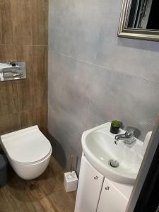 Łazienka z białą toaletą i umywalką w obiekcie Malinowy Wierch w mieście Olszanica