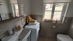 uma casa de banho com um lavatório e uma máquina de lavar roupa em Appartements Fanny em Sankt Margarethen im Lungau