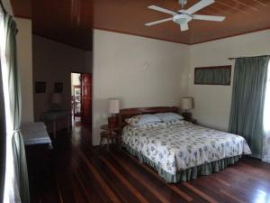 sypialnia z łóżkiem i wentylatorem sufitowym w obiekcie Casa Romero - A cozy tradition w mieście Boquete
