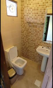 a bathroom with a toilet and a sink at the prince apartment شقة الامير in Wadi Musa