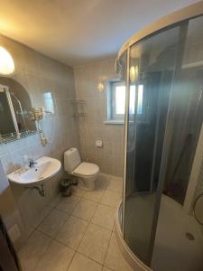 uma casa de banho com um WC, um lavatório e um chuveiro em Vila Vanila em Palanga