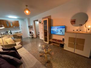 ein Wohnzimmer mit einem Sofa und einem Flachbild-TV in der Unterkunft DREAM 4YOU in Santa Cruz de Tenerife