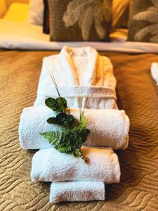 een stapel handdoeken zittend op een bed met een plant bij Boshuisje La Casita - Near Wellness & Golf in Oosterhout