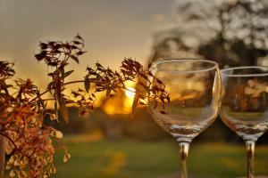 dos copas de vino vacías sentadas junto a una planta en Sunset Monteverde, en Monteverde
