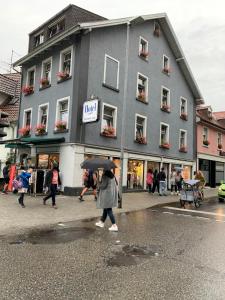 Gallery image of Hotel Pension Graf in Konstanz
