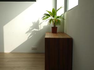 תמונה מהגלריה של Summerflow Hostel בשייאו ליוקיו