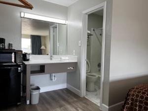 a bathroom with a sink and a toilet and a mirror at Regency Inn in Gatesville
