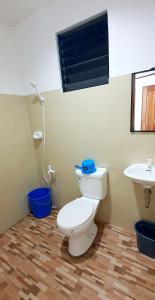 a bathroom with a toilet and a sink at SJ Pabua Travellers Inn in Mambajao