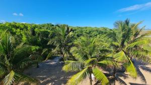 Paysage naturel près de la maison d'hôtes