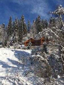 a log cabin in the snow with trees at Privatna Sadiba Chalet in Oryavchyk