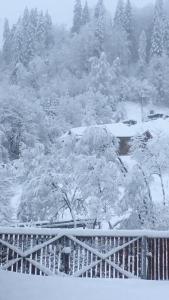 a tree covered in snow next to a bridge at Privatna Sadiba Chalet in Oryavchyk
