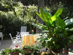 a table and chairs in a garden with plants at Hotel Rosa Del Tirreno in Quercianella