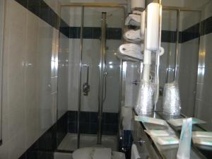 a bathroom with a shower and a toilet and towels at Hotel Rosa Del Tirreno in Quercianella