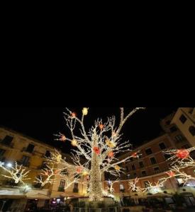 サレルノにあるCasa Suarèの建物前の灯りを飾ったクリスマスツリー