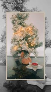 Una foto di un albero di Natale con delle luci sopra. di Musa di Colle a Colle Val D'Elsa
