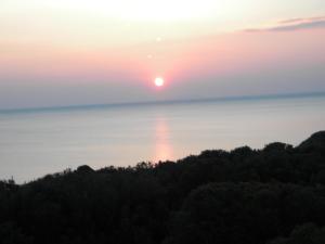 a sunset over the ocean with trees in the foreground at Hotel Rosa Del Tirreno in Quercianella