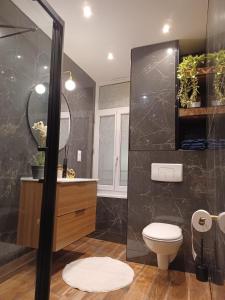 ein Badezimmer mit einem WC, einem Waschbecken und einem Spiegel in der Unterkunft Le petit Dubaï in Douai