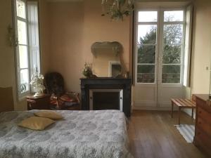 1 dormitorio con cama, chimenea y espejo en Château Saint Vincent, en Bazas