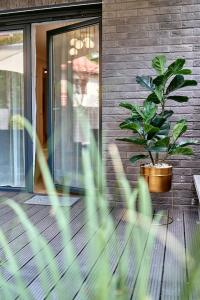 Vonkajšia záhrada v ubytovaní LAGUNA Apartament Polanica Residence 6 z garażem SPA