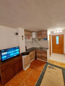 een keuken met een wastafel en een tv in een kamer bij Vikendica Pinus Blidinje in Blidinje