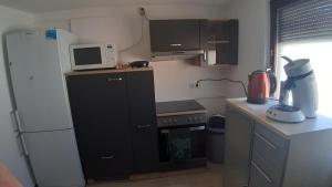 een kleine keuken met een koelkast en een magnetron bij S-21-Appartments Merklingen Ulm in Merklingen
