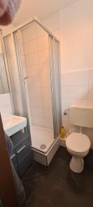 ein Badezimmer mit Dusche und Toilette in der Unterkunft Aaron IV inkl Bettwäsche Handtücher Endreinigung in Hahnenklee-Bockswiese