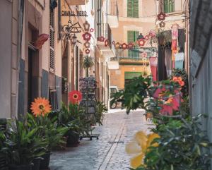 an alley with flowers and plants on a city street at Ca’s Cuscanti in Sóller