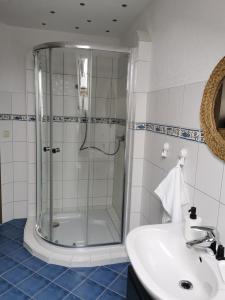 een badkamer met een douche en een wastafel bij Ferienwohnung "Am Wald" in Schmiedefeld am Rennsteig