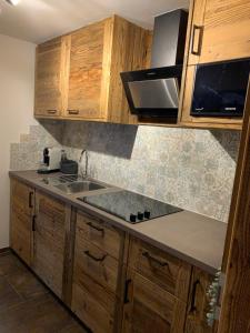 Kuchnia lub aneks kuchenny w obiekcie Chalet Apart Hansler
