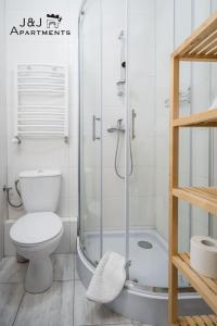 een badkamer met een toilet en een glazen douche bij J&J Apartments - Szeroka 25, Apartament 5B in Toruń