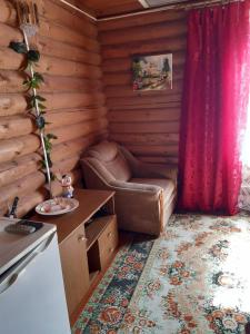 PenoにあるCottage in Orlinka 23のログキャビン内のソファと椅子付きの客室です。