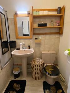 a bathroom with a sink and a toilet and a mirror at Appartement Esplanade in Strasbourg