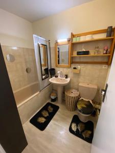a bathroom with a sink and a toilet and a bath tub at Appartement Esplanade in Strasbourg