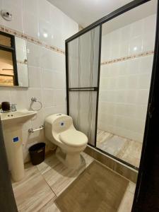 een badkamer met een toilet, een douche en een wastafel bij Apartamento Rodadero in Gaira