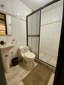 a bathroom with a toilet and a shower and a sink at Apartamento Rodadero in Gaira