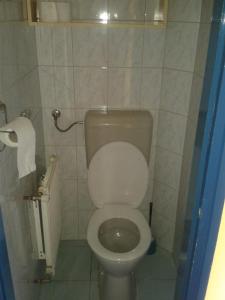 a bathroom with a toilet and a roll of toilet paper at Elefánt Apartment in Keszthely