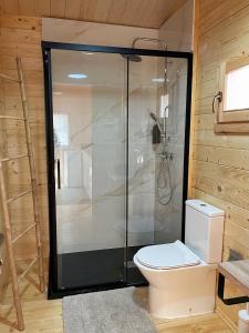 a bathroom with a shower and a toilet at Quinta Altamira in Portalegre