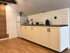 Kuchyňa alebo kuchynka v ubytovaní Apartamenty GOSZOWIANKA