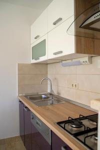 Kuchyň nebo kuchyňský kout v ubytování House FIDULIC - apartment THE LAVENDER