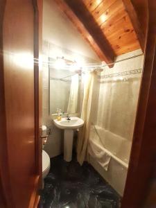 a bathroom with a sink and a toilet and a shower at Apartamento Benasque Vistas al Sarrio in Benasque