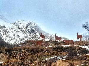 Gallery image of Apartamento Benasque Vistas al Sarrio in Benasque