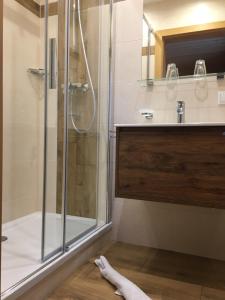 ein Bad mit einer Dusche und einem Waschbecken in der Unterkunft Haus Sonja in Altaussee