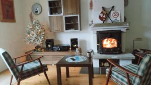a living room with a fireplace and a christmas tree at Jovanov Residence - Remote & Accessible in Dolna Matka