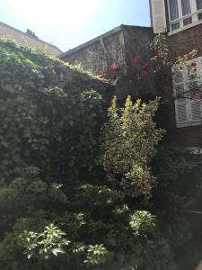 Un seto con flores y plantas en un edificio. en COMME UNE MAISON, duplex terrasse hypercentre de Trouville, en Trouville-sur-Mer