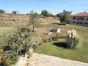 A garden outside Casa Lambuh