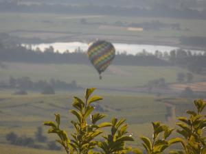 a hot air balloon flying over a field at Chambres d'Hôtes Rachelle Schneider in Husseren-les-Châteaux